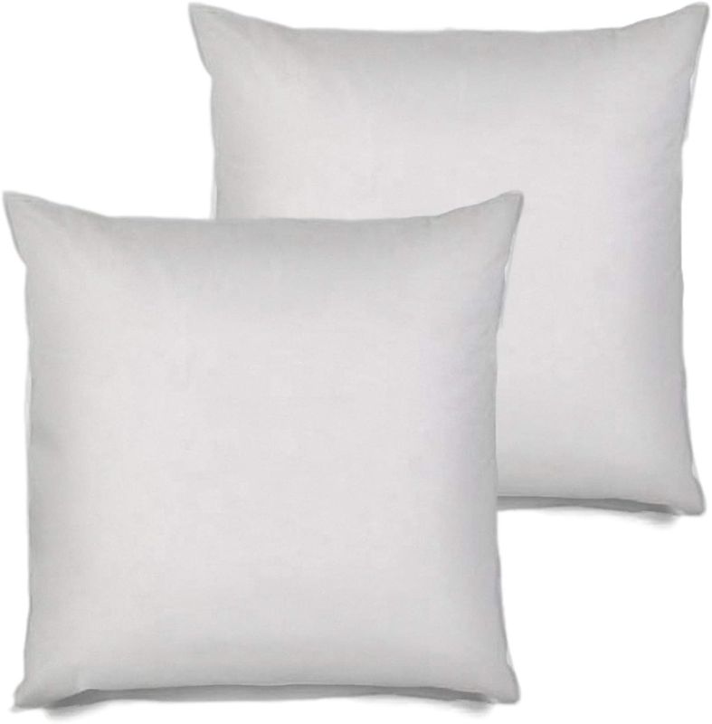 Photo 1 of 2 PC Pillow Insert 28x28 INCH 