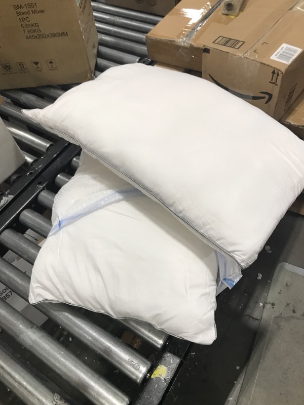 Photo 1 of 2 Medium Size Pillows 