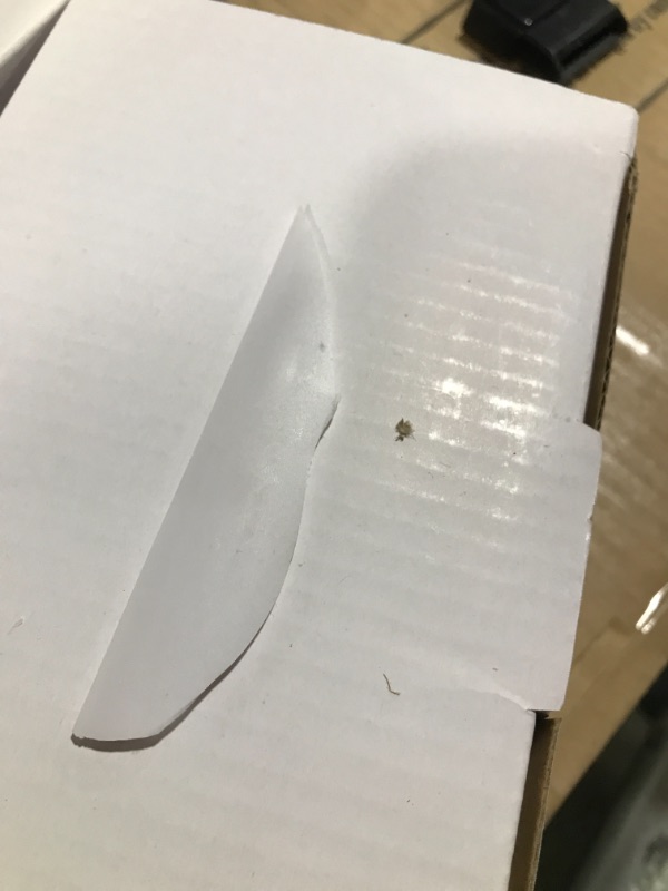 Photo 1 of OMNISAFE 5-Drawer Plastic Organizer, Colorful Rolling Storage Cart with White Frame 5-Drawer Colorful