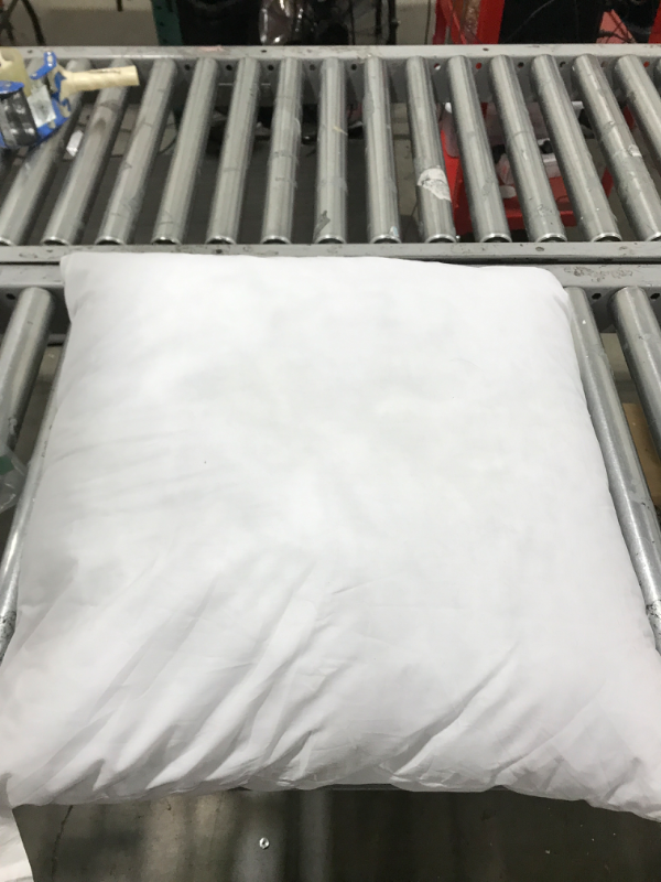 Photo 1 of 24" x 24" pillow