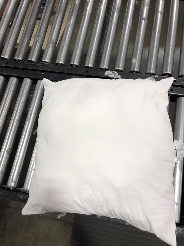 Photo 1 of 24 x 24 Inch Pillow 