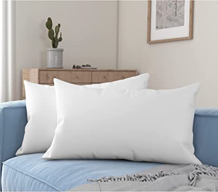 Photo 1 of Acanva Premium Throw Pillow Inserts with Microfiber Filled, Lumbar Support Decorative Stuffer for Sofa Bed Couch & Chairs, 20X36, 2 Count, White
