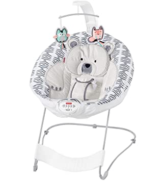 Photo 1 of Fisher-Price See & Soothe Deluxe Bouncer 