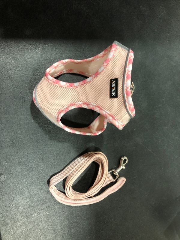 Photo 2 of AMTOR Dog Harness and Dog Collar with Leash Set