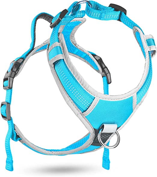 Photo 1 of AdventureMore No Pull Dog Harness Breathable Harness with Handle - Reflective Padded Dog Safety Vest Adjustable Harness for Small Dogs No Pull, Back/Front Clip for Control, New Version Harness Blue S S I-Shaped-Blue