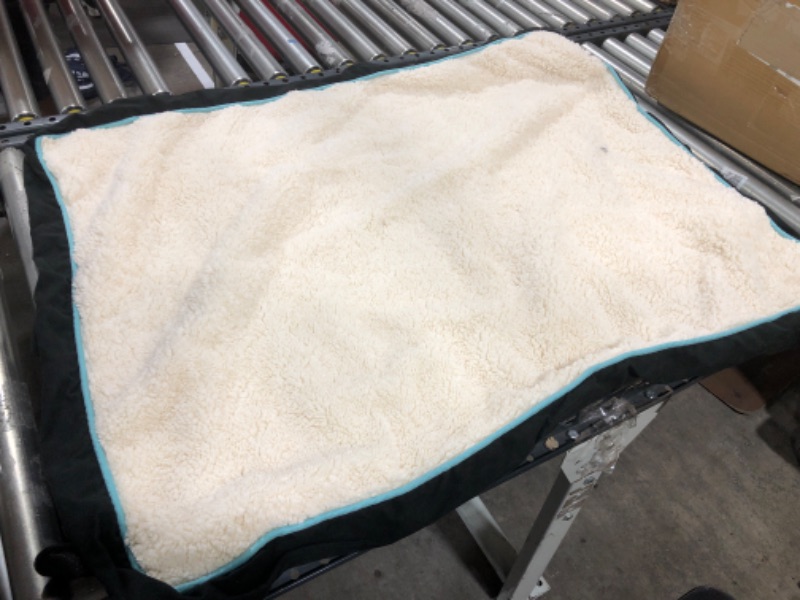 Photo 1 of 33" x 42" extra large dog bed with foam insert