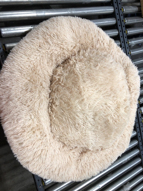 Photo 1 of 35 in tan fluffy circular pet bed