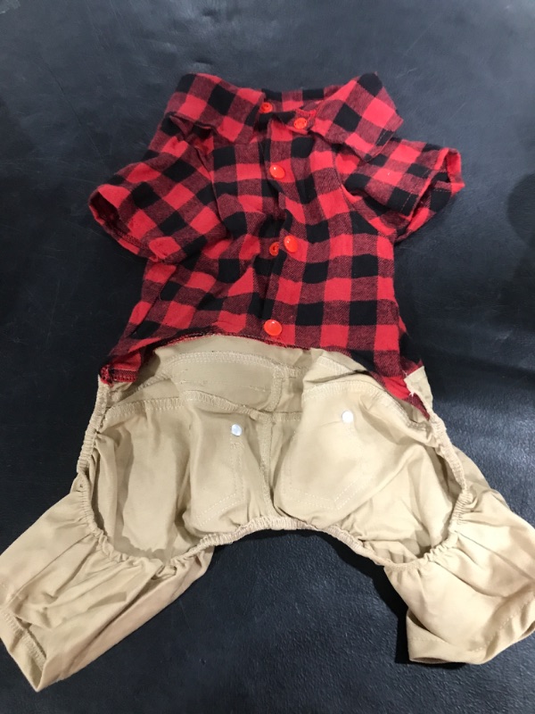 Photo 1 of BOY SMALL DOGS OUTFIT SIZE XL