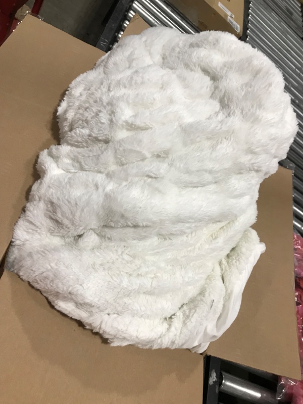 Photo 1 of BLANKET WHITE