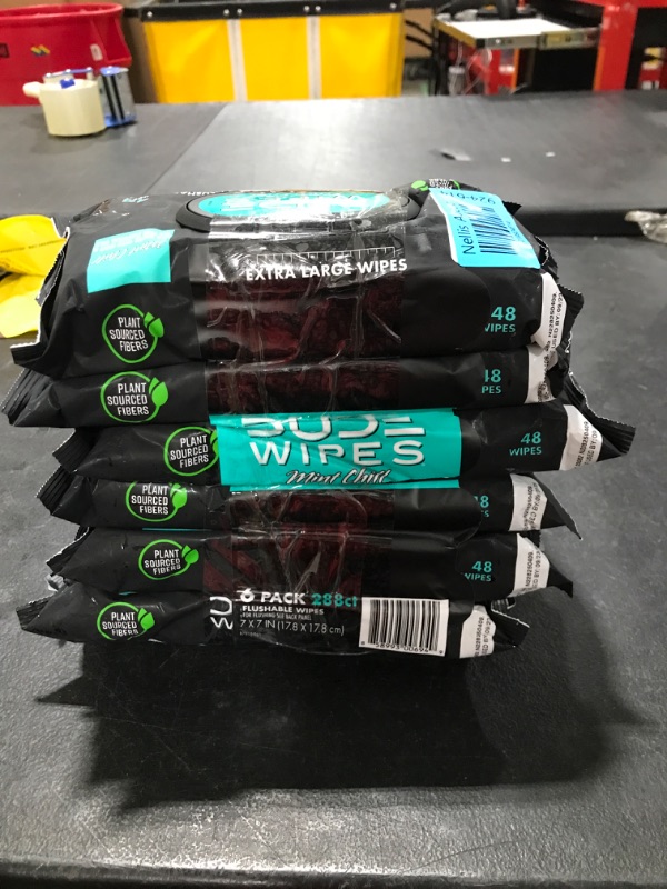 Photo 2 of DUDE Wipes Flushable Wipes - 63Pack, 288 Wipes - Mint Chill Extra-Large Wet Wipes with Eucalyptus & Tea Tree Oil - Septic and Sewer Safe