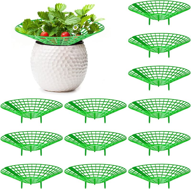 Photo 1 of 12 Pack Strawberry Plant Supports,Strawberry Supports Strawberry Plant Stand with 3 Sturdy Legs,Strawberry Growing Racks,Strawberry Growing Frame Garden Stand for Keeping Plant Clean in Rainy Days 