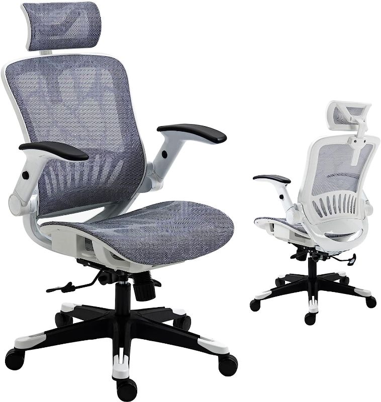 Photo 1 of  Ergonomic Office Chair