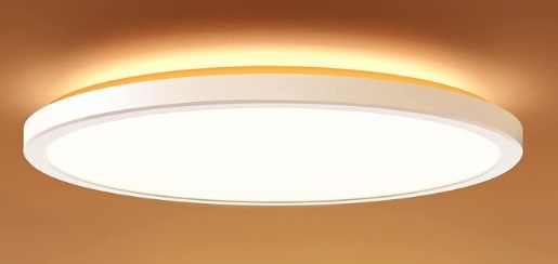 Photo 1 of Dimmable LED Ceiling Light 