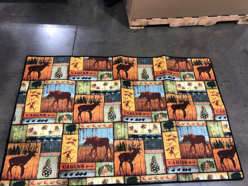 Photo 1 of 39X60  WOODSY RUG 