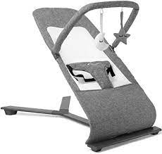 Photo 1 of Baby Delight Alpine Deluxe Portable Bouncer, Infant, 0 – 6 months, Charcoal Tweed