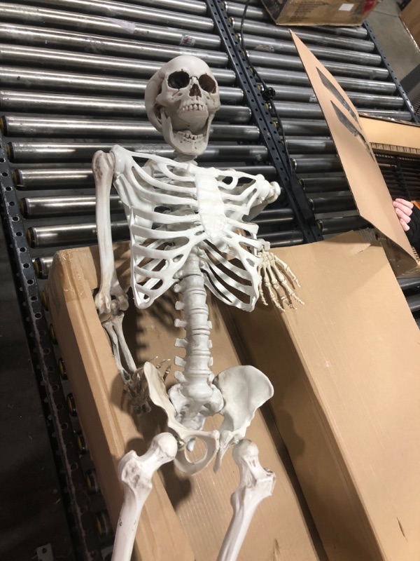 Photo 2 of 5.4 ft Posable Halloween Skeleton Decorations,Human Bones for Halloween Party with Movable Joints,for Haunted Houses, Front Lawn, Graveyard Props 5.4FT