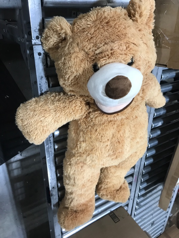 Photo 2 of 36'' Teddy Bear