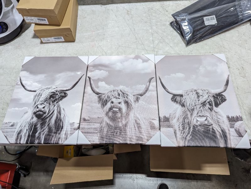 Photo 1 of 3pc Highland cow art