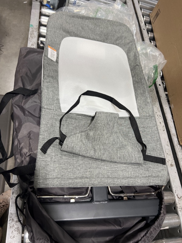 Photo 1 of Baby Delight Alpine Deluxe Portable Bouncer | Infant | 0 – 6 months | Charcoal Tweed
