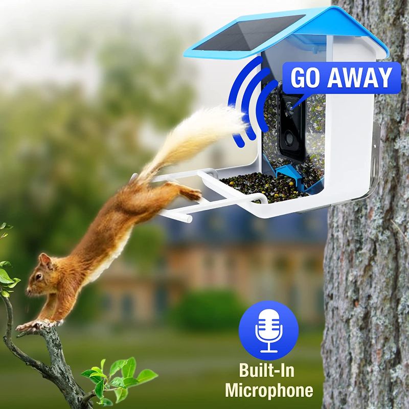 Photo 1 of Smart Bird Feeder with Camera, Bird Watching Camera Auto Capture Bird Videos & Notify When Birds Detected, Bird Watching Camera with Solar Panels