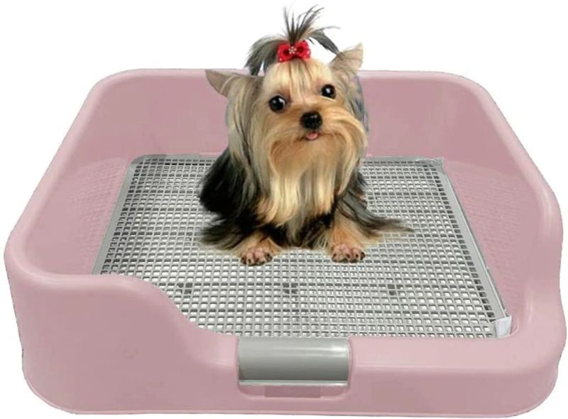 Photo 1 of  Indoor Dog Potty Tray – With Protection Wall Every Side For No Leak, Spill, Accident 