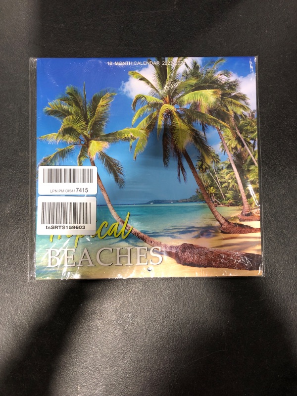 Photo 2 of Calendar 2023-2024 - Wall Calendar 2023-2024, 18-Month Wall Calendar 2023, Jan. 2023 -Jun. 2024, 12" x 24" (Open), Unruled Blocks with Thick Paper - Coconut Tree Sky Blue