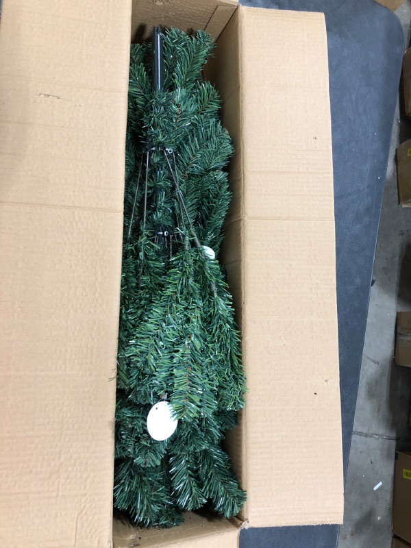 Photo 1 of 4.5' Sheared Nobel fir Christmas tree