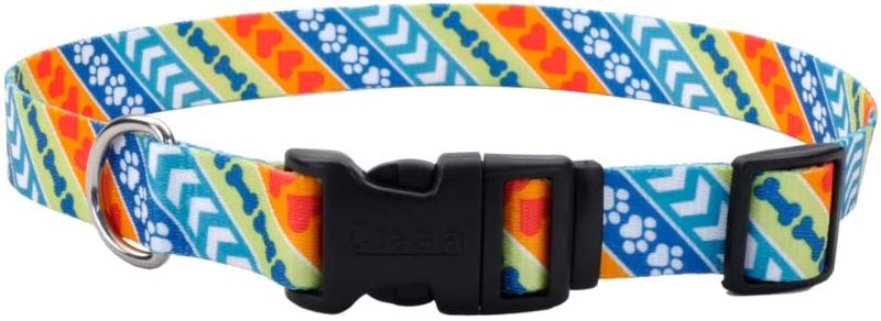 Photo 1 of Coastal - Styles - Adjustable Dog Collar, Resolve, 1" x 18"-26" 