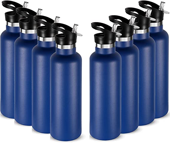 Photo 1 of 10 Pack 24 oz Insulated Water Bottles Bulk, Stainless Steel Bottle with Straw Lid, Leak Proof Insulated Bottles Reusable Metal Cup for Outdoor Gym School Hiking Cycling (Blue)