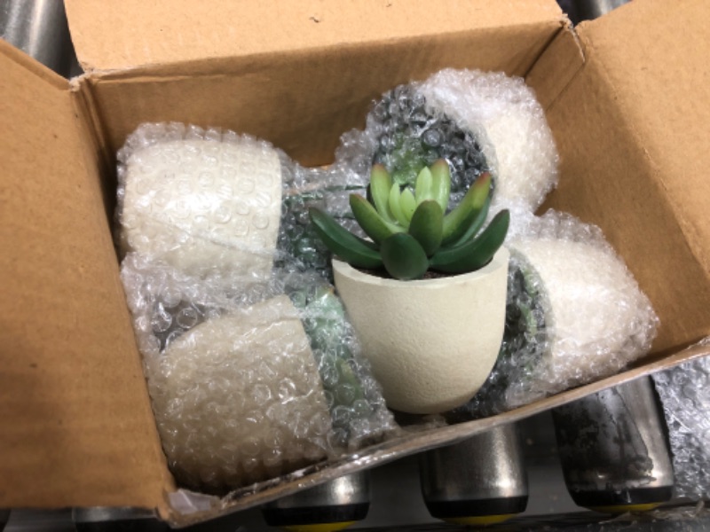 Photo 1 of 5 PACK MINI ARTIFICIAL SUCCULENT PLANTS