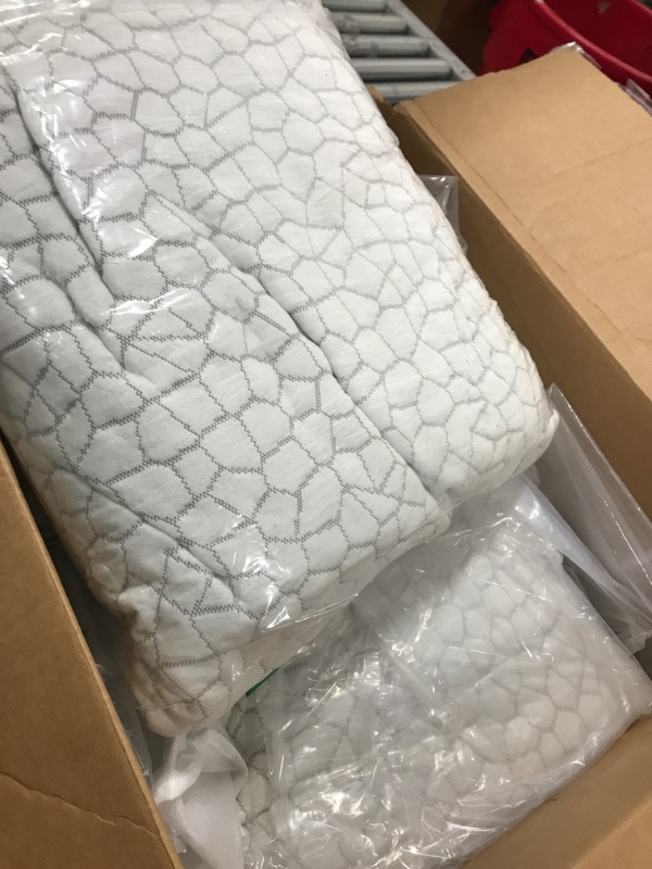 Photo 1 of 2 Pack Pillows White