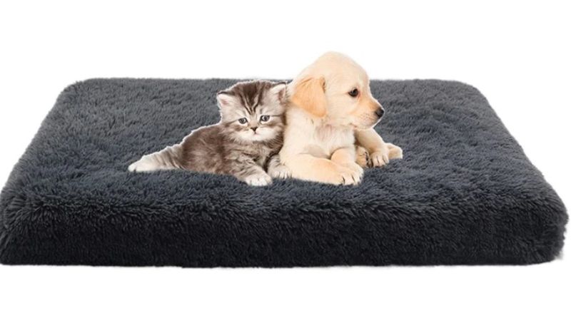 Photo 1 of 31X21 Dark Grey Dog Bed 