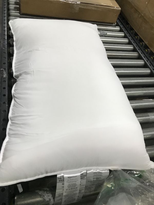 Photo 1 of 20" x 36" pillow 