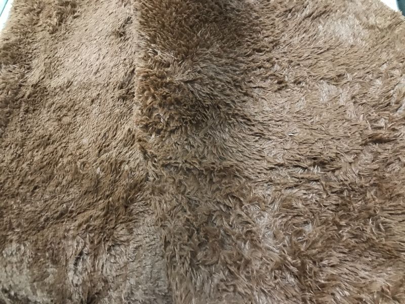 Photo 1 of 60" x 100" area rug --- color brown 
