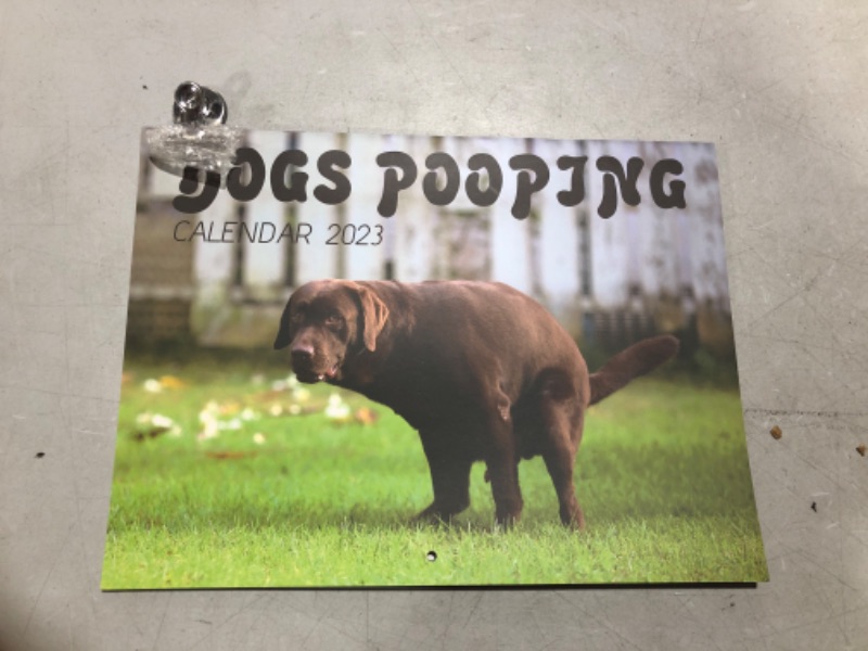Photo 2 of 2023 Wall Calendar Funny - Dogs Pooping Calendar 2023 - 12'' x 18" Opened, January 2023 - December 2023, Giftable Magnetic Calendar for Fridge for Easy Organizing and Planning 