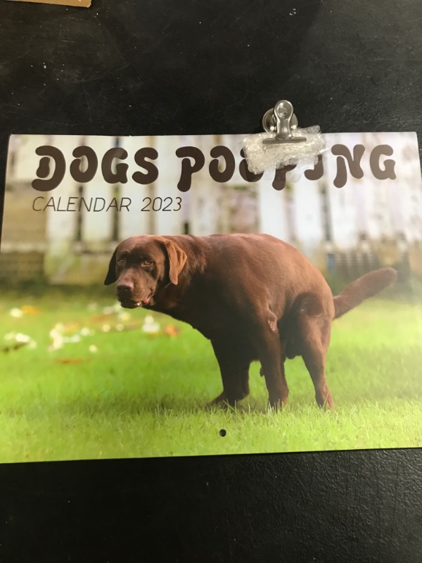 Photo 2 of 2023 Wall Calendar Funny - Dogs Pooping Calendar 2023 - 12'' x 18" Opened, January 2023 - December 2023, Giftable Magnetic Calendar for Fridge for Easy Organizing and Planning