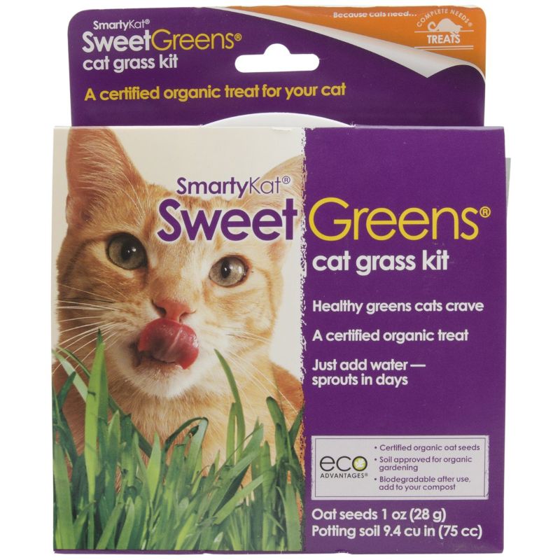 Photo 1 of SmartyKat Sweet Greens Organic Oat Grass Cat Grass Grow Kit Sweet Greens Grow Kit