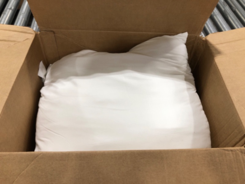 Photo 1 of 2 PILLOWS WHITE 