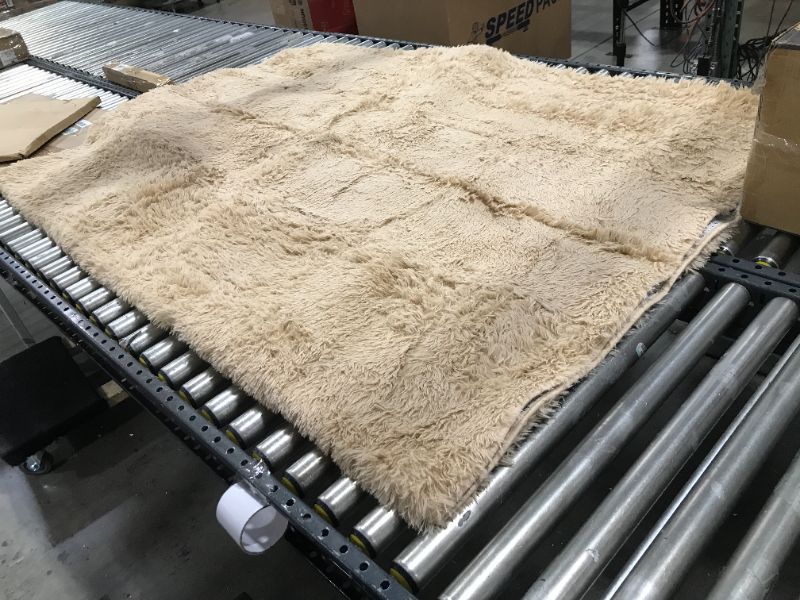 Photo 1 of 108" x 72" shag area rug --- color tan