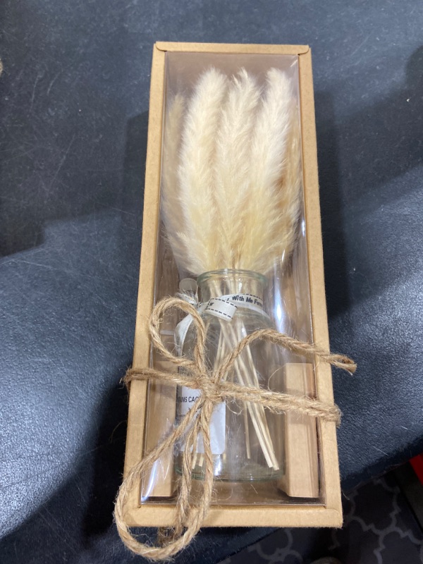Photo 2 of 18 Pcs Primary Pampas Grass ,12.5inch/32 cm Natural Dried Pampas ,Used for Living Room Decoration, Tea Table Decoration(Pampas Grass with vase Included) (Primary)
