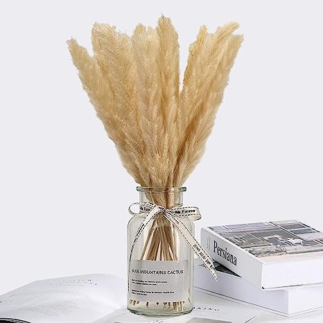 Photo 1 of 18 Pcs Primary Pampas Grass ,12.5inch/32 cm Natural Dried Pampas ,Used for Living Room Decoration, Tea Table Decoration(Pampas Grass with vase Included) (Primary)
