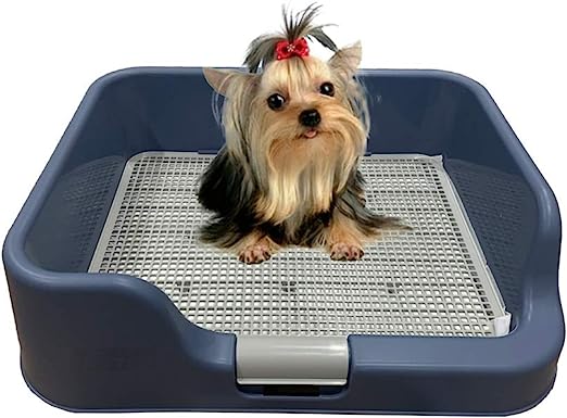 Photo 1 of [PS KOREA] Indoor Dog Potty Tray – with Protection Wall Every Side for No Leak, Spill, Accident - Keep Paws Dry and Floors Clean! (Blue)