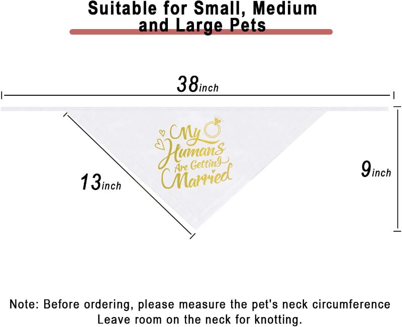 Photo 2 of 12 PACK GOLD AND BLACK  Engagement Gift, My Humans are Getting Married Dog Bandana 8 BLACK AND 4 GOLD 