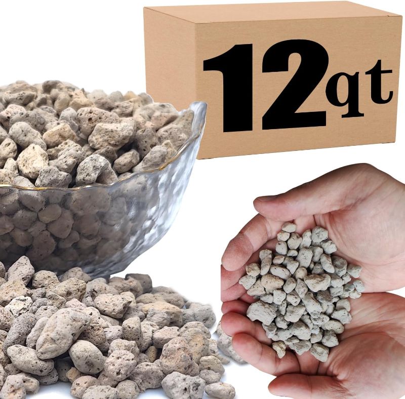 Photo 1 of 12QT Horticultural Pumice for Plants Professional Sifted - for Succulents, Cactus, Bonsai Plants - 3/8 inch (12QT) 