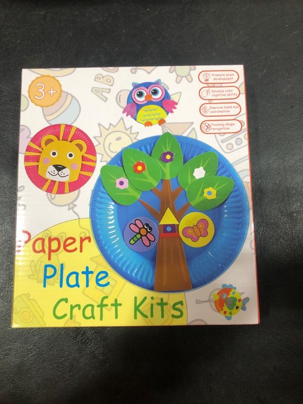 Photo 2 of Art Craft Gift for Kids -  Paper Plate Art Kit 