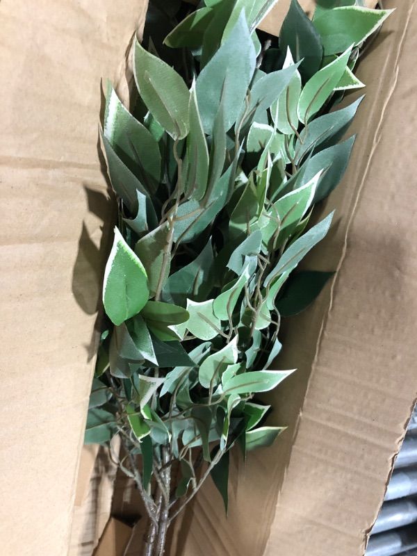 Photo 1 of Amazon Basics Artificial Ficus Tree Fake Plant with Plastic Planter Pot, 63-Inch 63" Ficus Tree