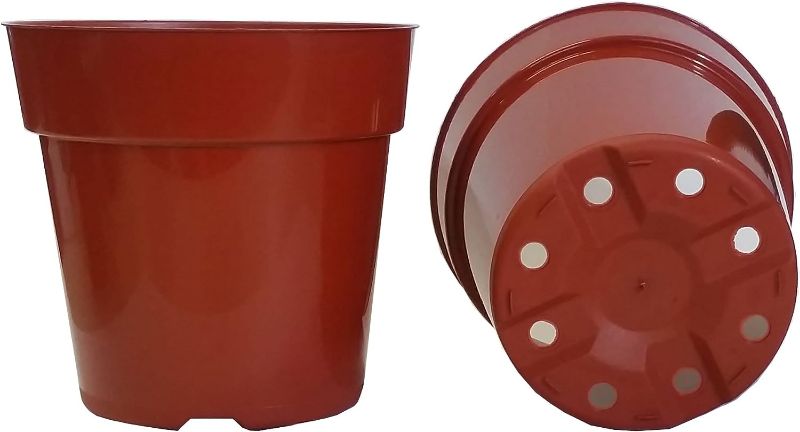 Photo 1 of 20 New 6 Inch Dillen Standard Plastic Nursery Pots ~ Pots are 6 Inch Round at The Top and 5.6 Inch Deep Color Terracotta