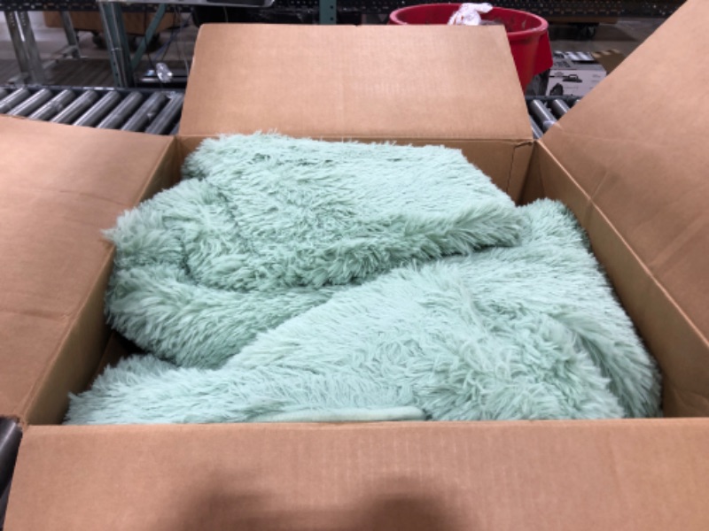 Photo 1 of DweIke Fluffy Shaggy Area Rug, Green Plush Rugs for Living Room Bedroom, Soft Carpets for Kids Girls Boys Room, Extra Large Fuzzy Rug, Upgrade Non-Slip Rugs, 6 ft X 9 ft, Green 6 ft x 9 ft Green