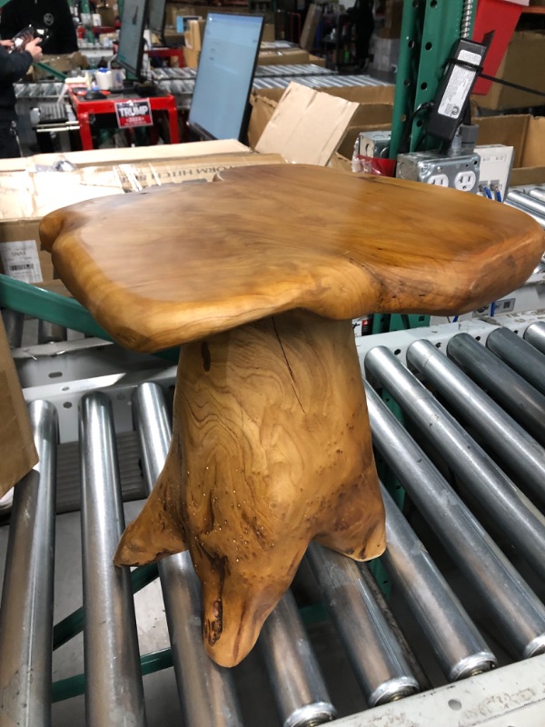 Photo 1 of HOEGMST Small Side Table, Unique Design Live Edge Wood Stool, Freeform Natural Plant Stand for Garden, Yard, 14"D x 12.5"W x 14.5"H