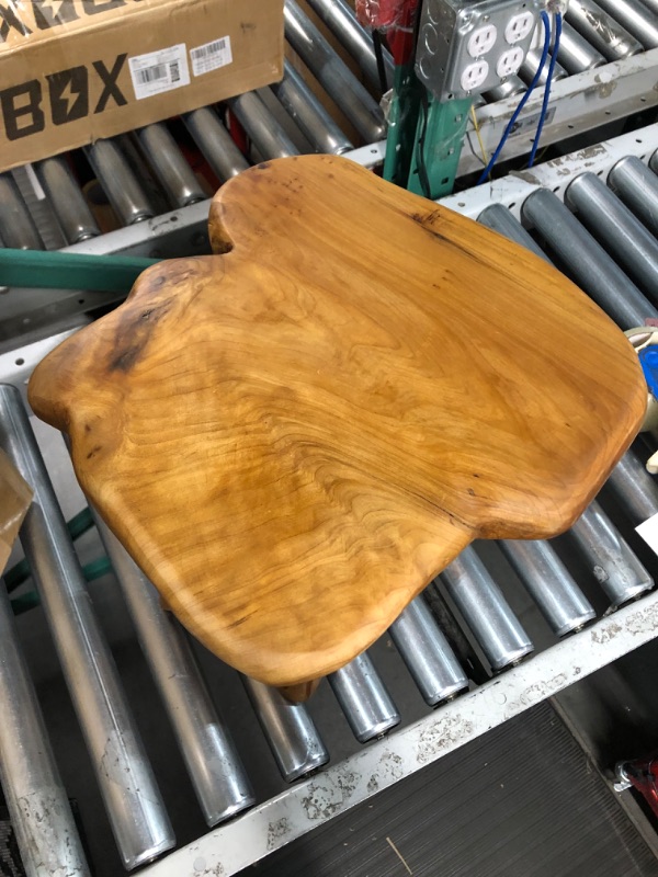 Photo 1 of HOEGMST Small Side Table, Unique Design Live Edge Wood Stool, Freeform Natural Plant Stand for Garden, Yard, 14"D x 12.5"W x 14.5"H